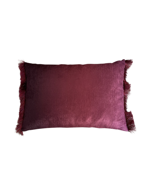 Fringed Velvet Rectangle Cushion