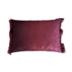 Fringed Velvet Rectangle Cushion