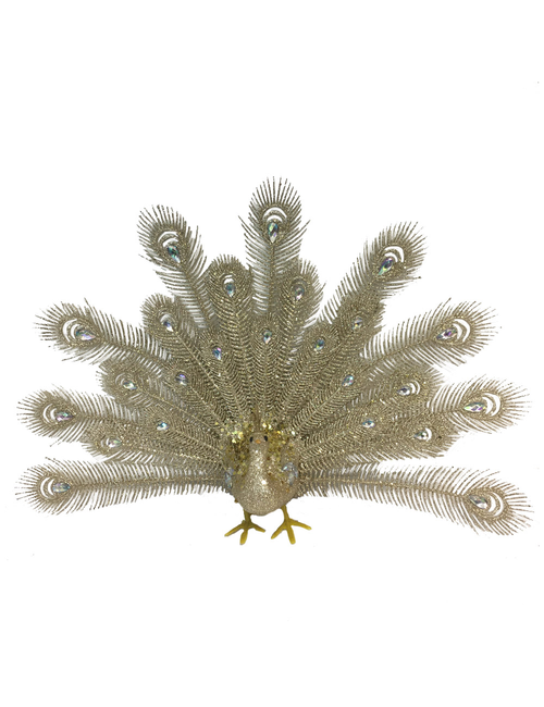 CHAMPAGNE PEACOCK SPLAYED TAIL