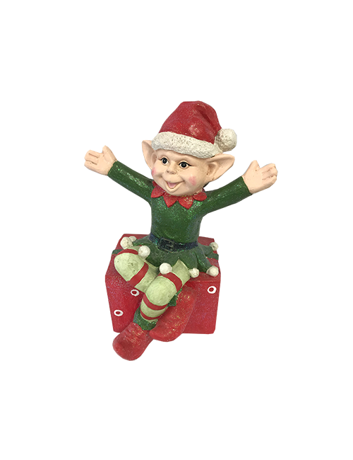 BOY ELF ON GIFT