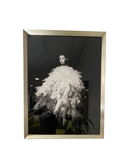 65CM X 85CM WHITE FEATHER LADY BLACK BACKGROUND IN BLACK/SILVER FRAME