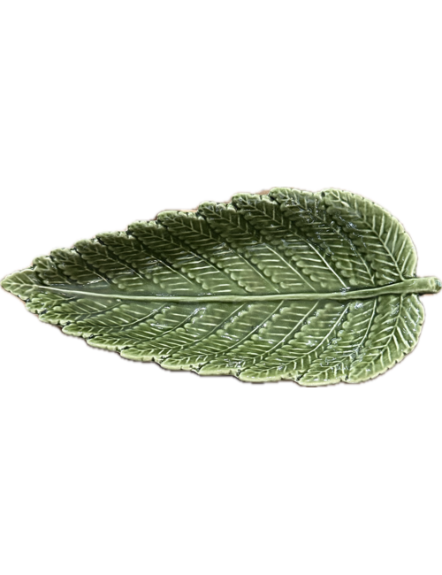 small green leaf plate