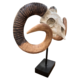 ram skull on stand