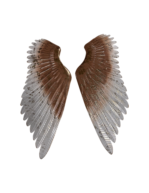 Blush wings