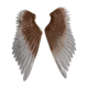 Blush wings