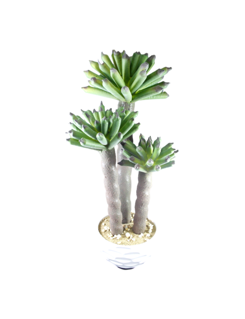 65CM HIGH 3 SPIKE CACTUS