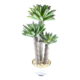 65CM HIGH 3 SPIKE CACTUS