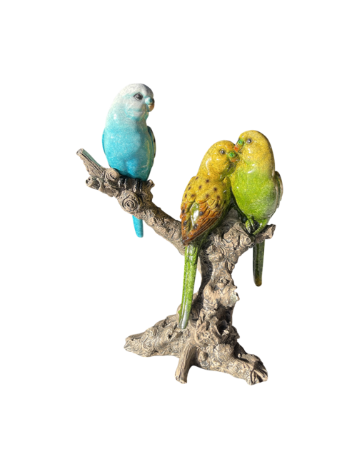 3 BUDGIES ON BRANCH