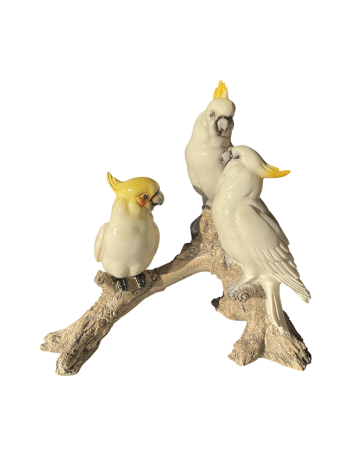 COCKATOO FAMILY ON BRANCH