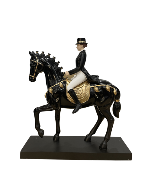 DRESSAGE LADY ON BLACK HORSE