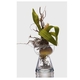 CLEAR GLASS AMARYLLIS VASE