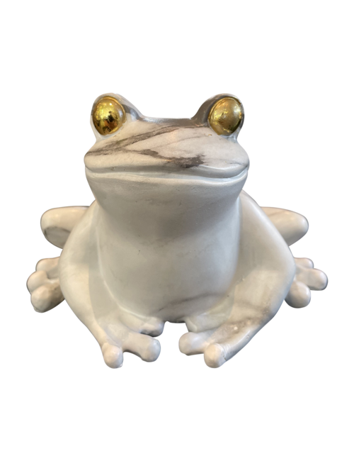 FROG WITH GOLD EYES