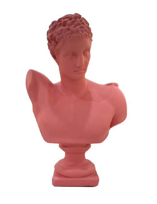 PINK MALE BUST