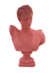 PINK MALE BUST