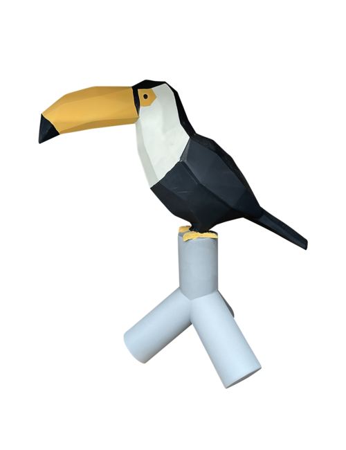 COLOURFUL LARGE TOUCAN