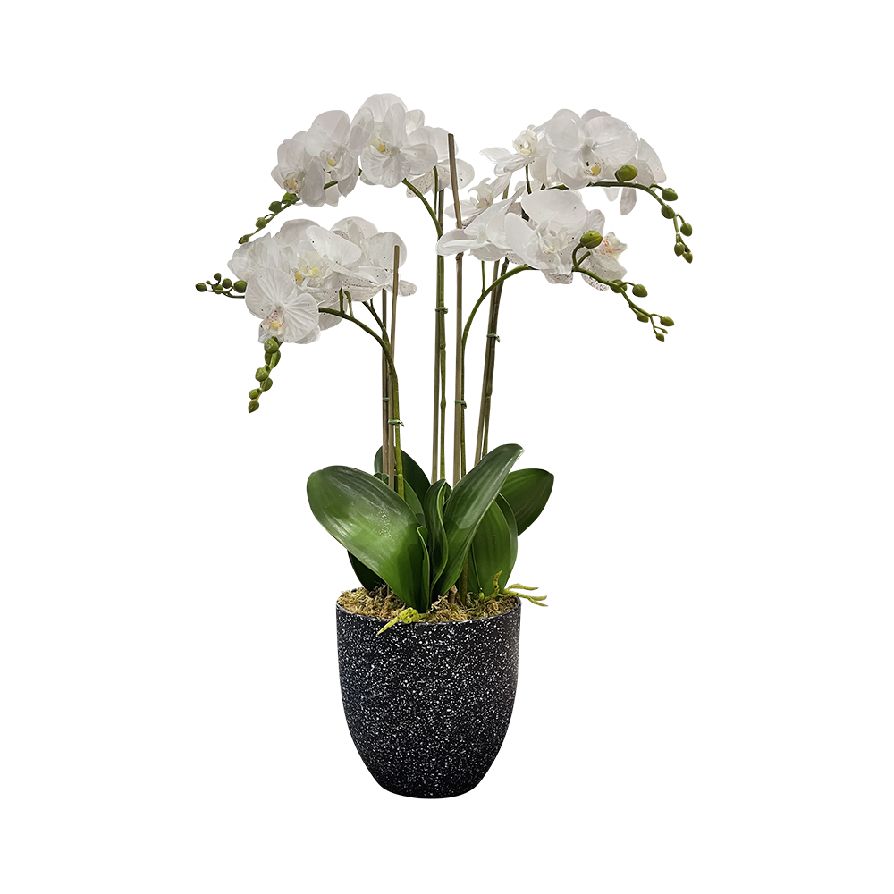 Orchid Artificial Arrangement in Black 2024 Planter