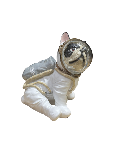 RIGHT LOOKING SPACE DOG