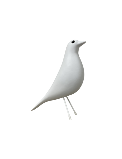 WHITE SEAGULL