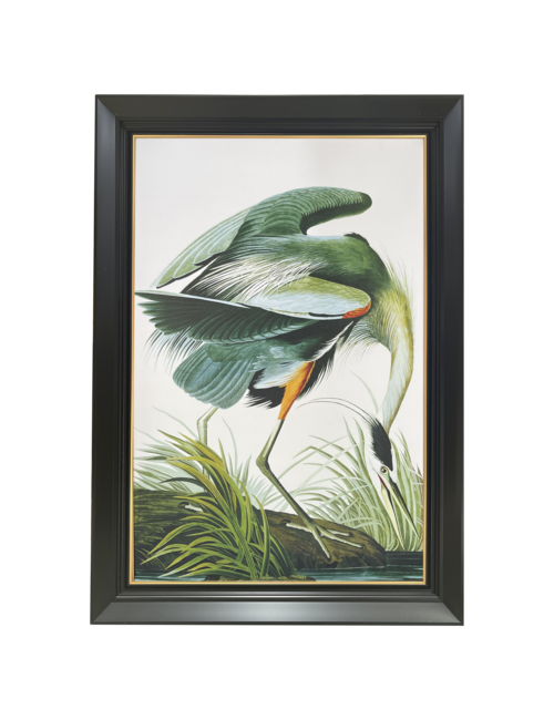 GREEN HERON BLACK/GOLD FRAMED ART