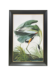 GREEN HERON BLACK/GOLD FRAMED ART